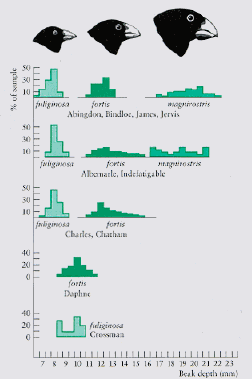 Fig. 19.4
