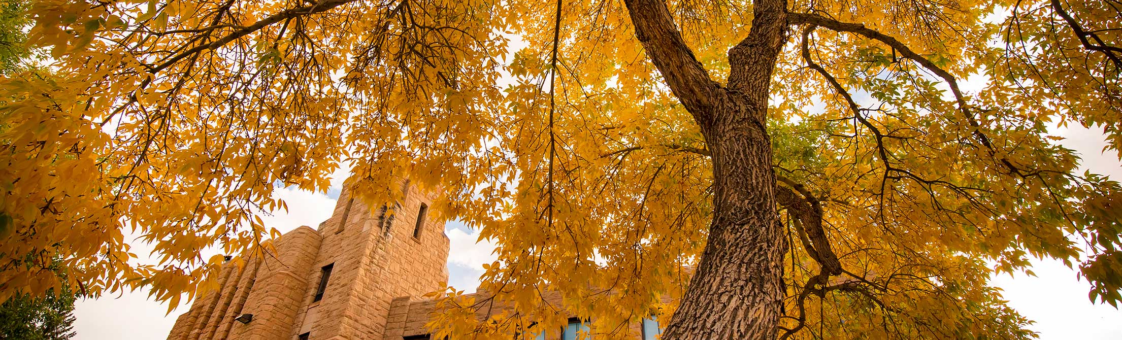 Campus with fall color leaves