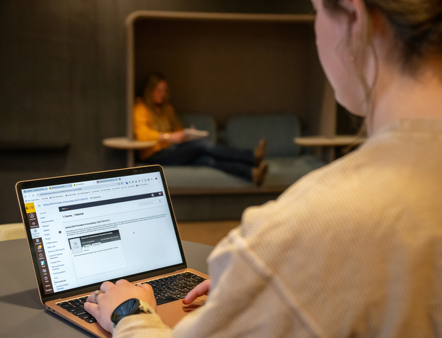 Student using computer