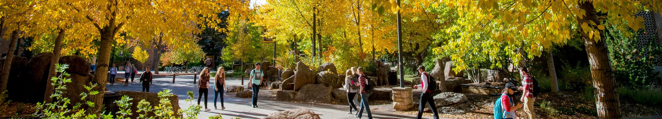 Students walking on campus.