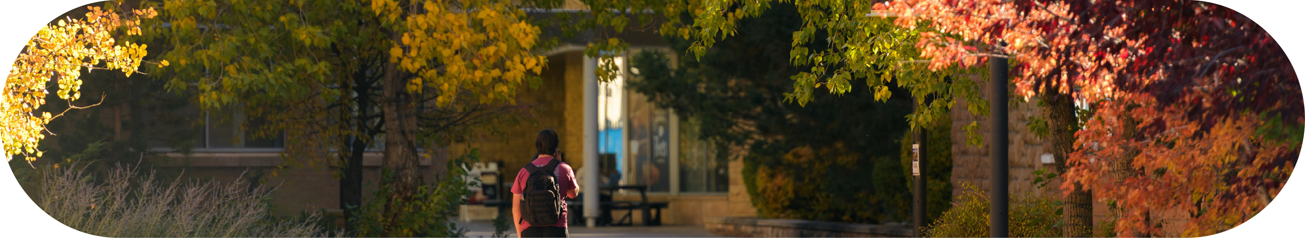 Student Walking on Campus