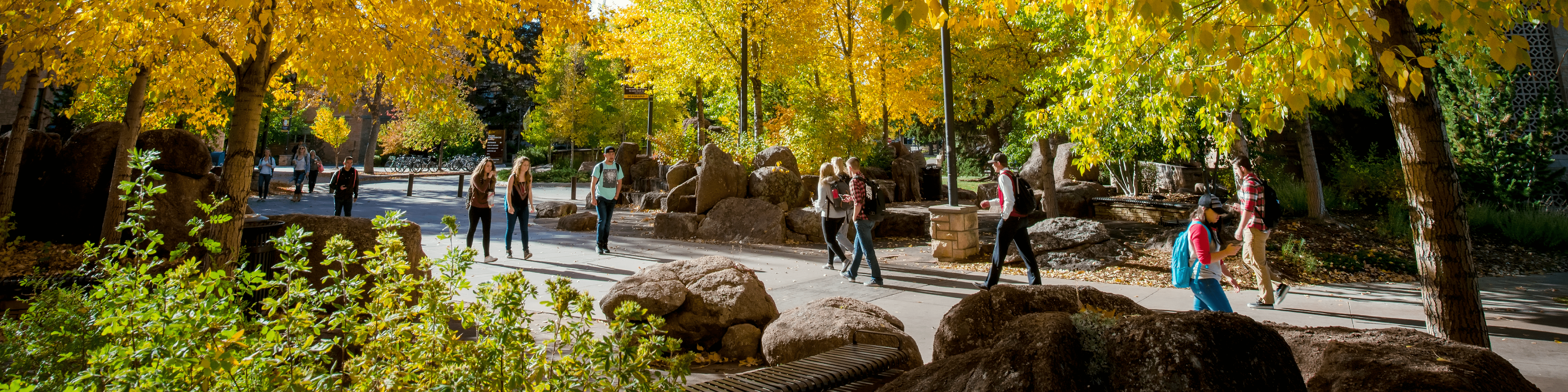 Students Walking on Campus