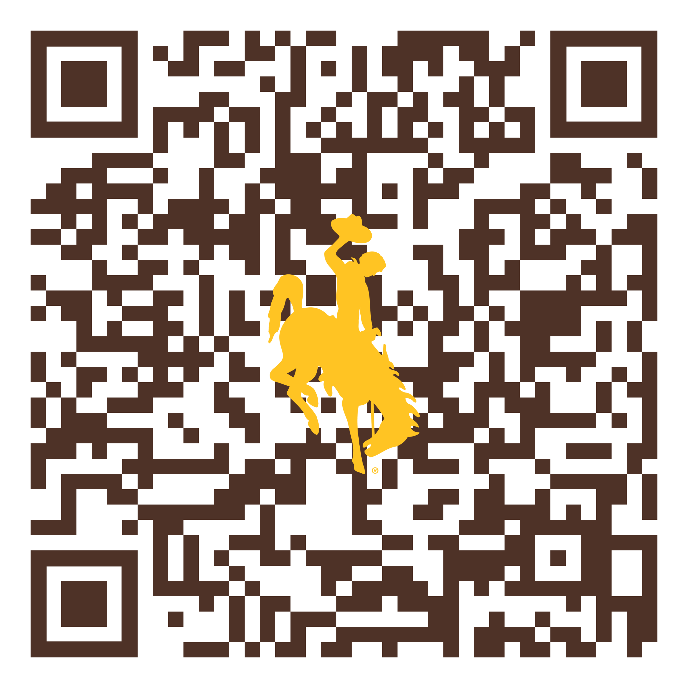 qr code to give to uw economics