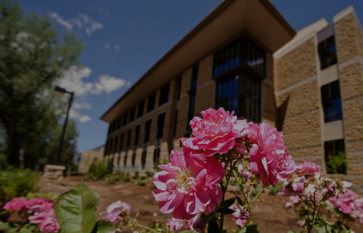 Flowers in front of the college