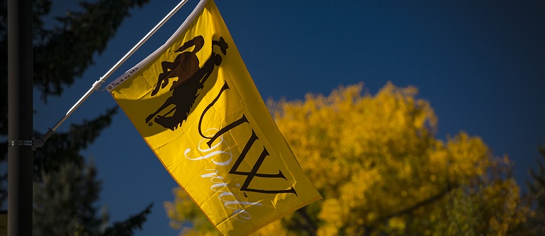 A UW flag against a blue skie on Prexy's pasture