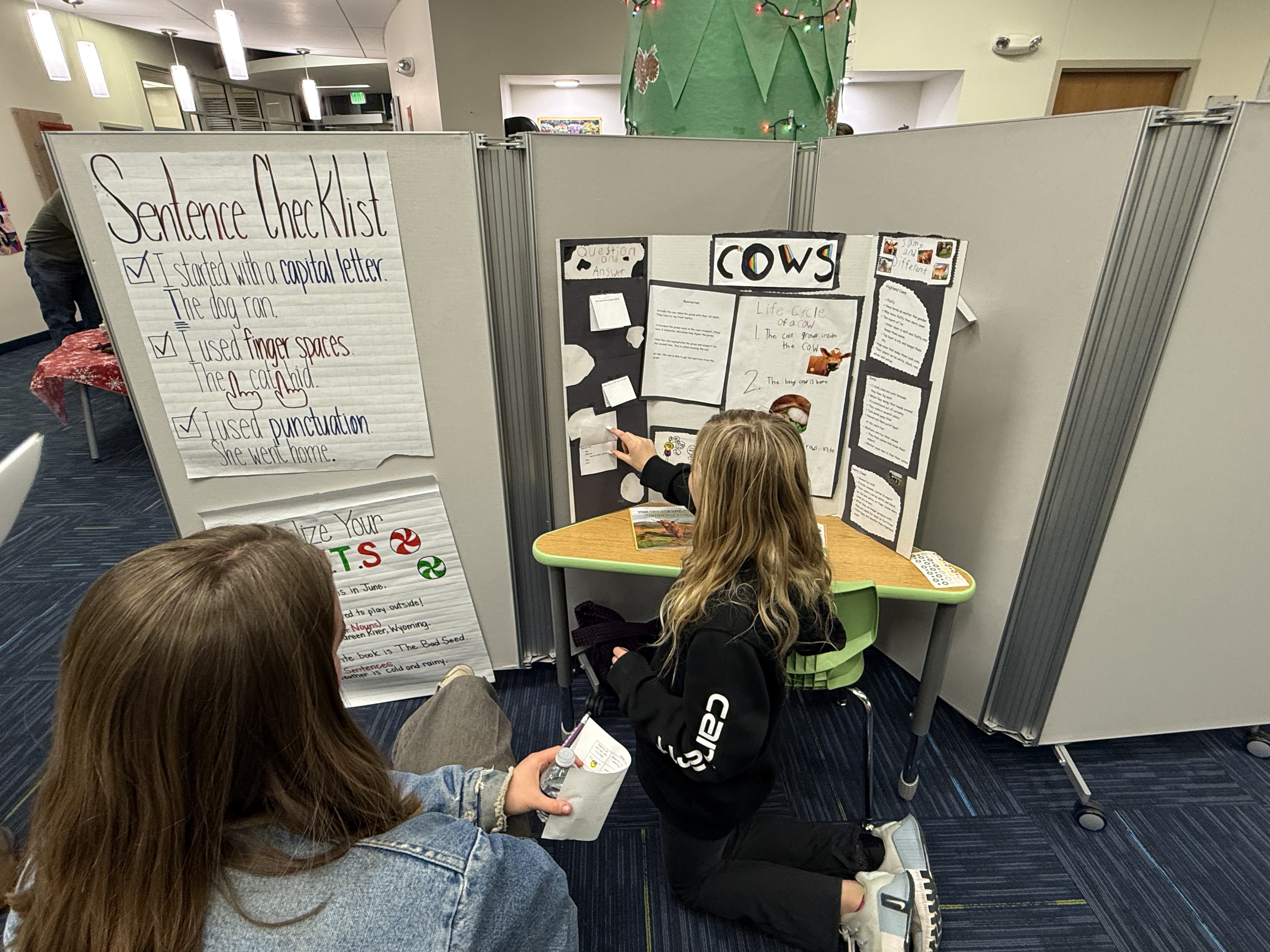 a student and tutor looking at a presentation
