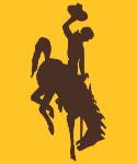 bucking horse yellow