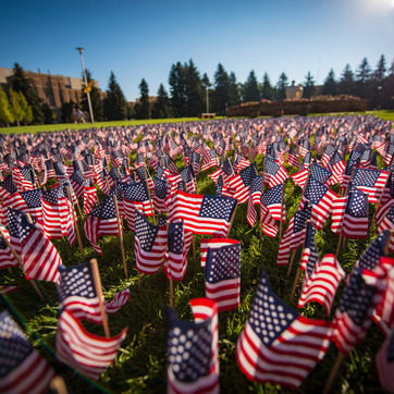 American flags in Prexy's Pasture