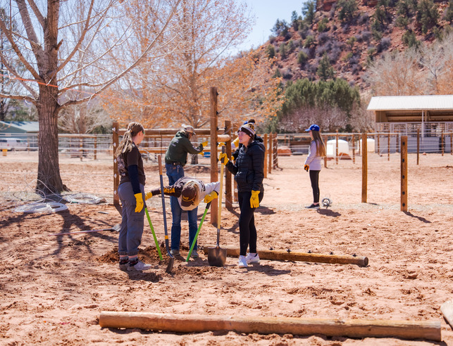 Students working on an outdoor volunteer project