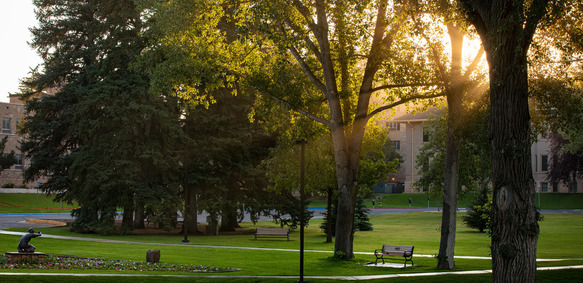 Early morning light looking toward Hoyt Hall