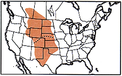 Geographic range of A. turnbulli