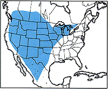 Geographic range of A. pseudonietana