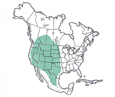 auelmap.jpg