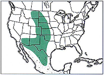 Geographic range of B. nubilum