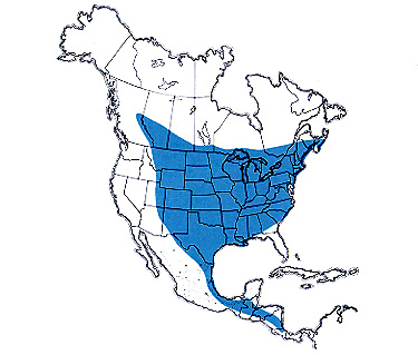 chvimap.jpg