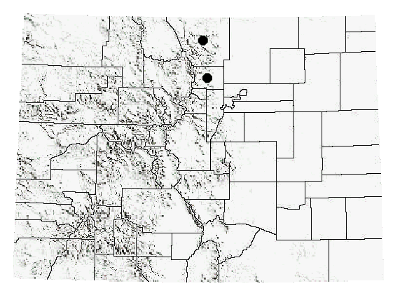Colorado Distribution of C. conspersa