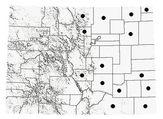 Eritettix simplex (Scudder)