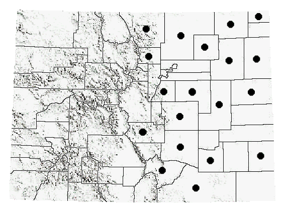 Paropomala wyomingensis (Thomas)