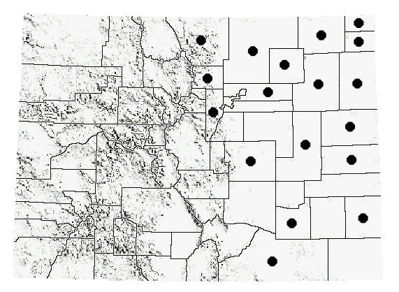 Phoetaliotes nebrascensis (Thomas)