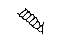 Basal segments from Opeia obscura
