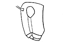 ""