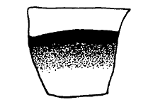 Chloealtis abdominalis