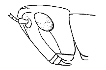 ""
