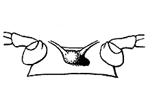 ""