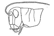 ""