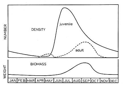 Figure 370 - Typical seasonal pattern of grasshopper abundance and biomass in northeast Colorado. 