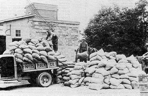Figure 372 - Loading grasshopper bait into trucks for distribution, 1939 