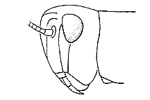 ""