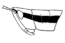 ""