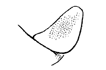 ""