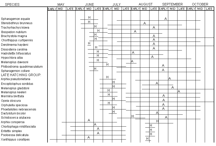 Table 1. Seasonal history of common Colorado grasshoppers. Table shows occurrence of hatching (H) and adult (A) stage; nymphs occur between hatch and adult, but appearance overlaps both hatching and adult periods because of asynchronous development (taken largely from Newton et al., 1954). 