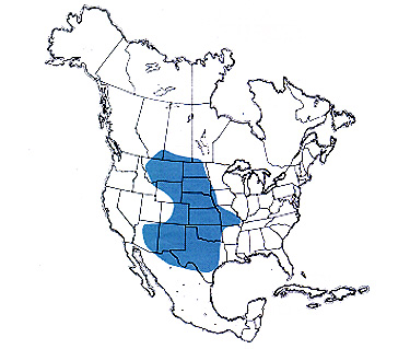 hatrmap.jpg