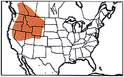 mealmap.jpg