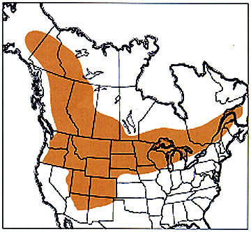 mebrmap.jpg