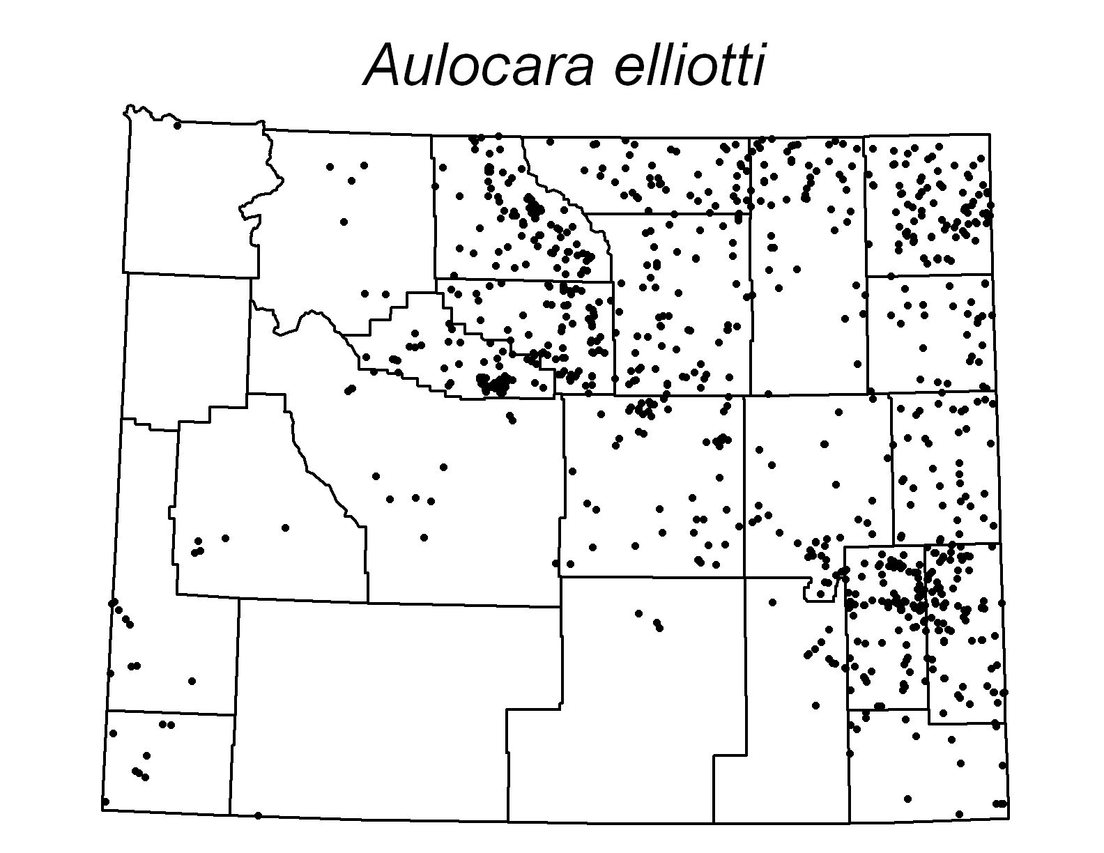 Aulocara elliotti