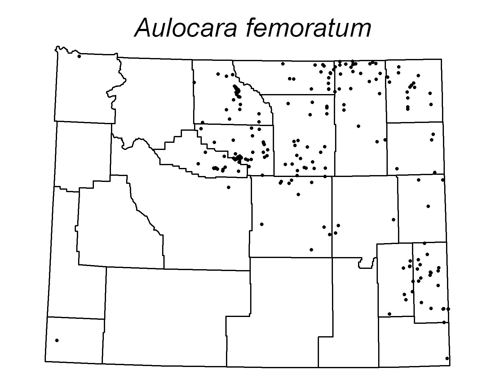 Aulocara femoratum