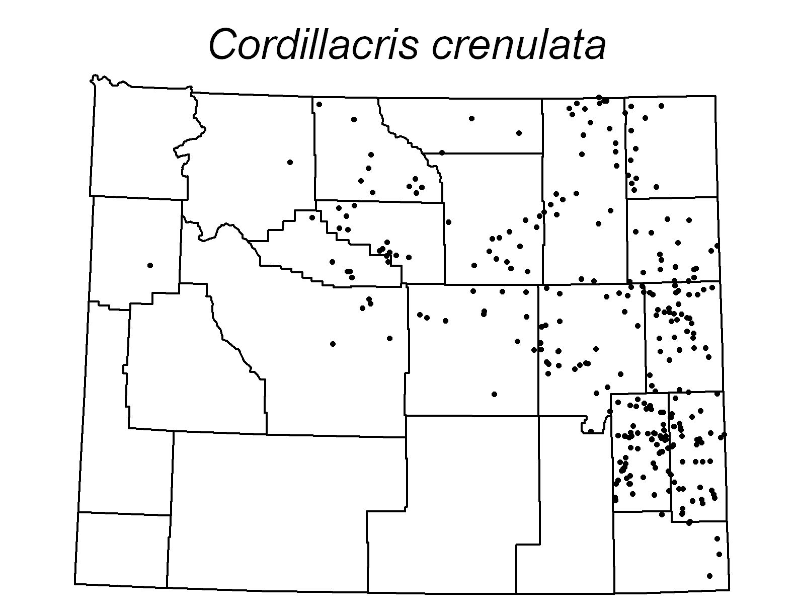 Cordillacris crenulata