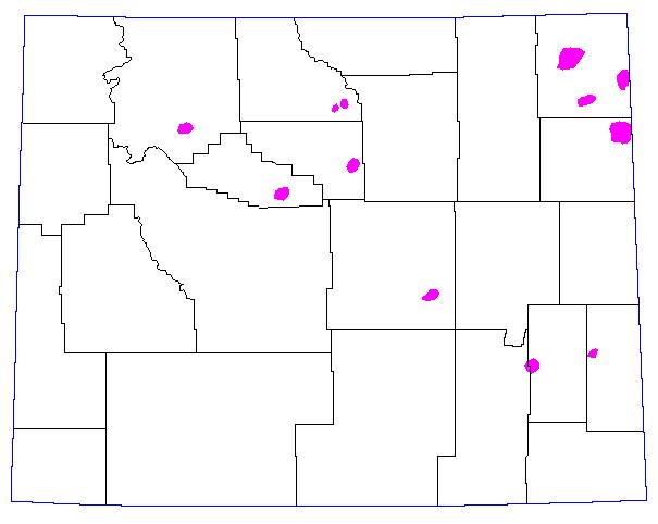 1971, Magenta = >= 8 Grasshoppers per square yard. 