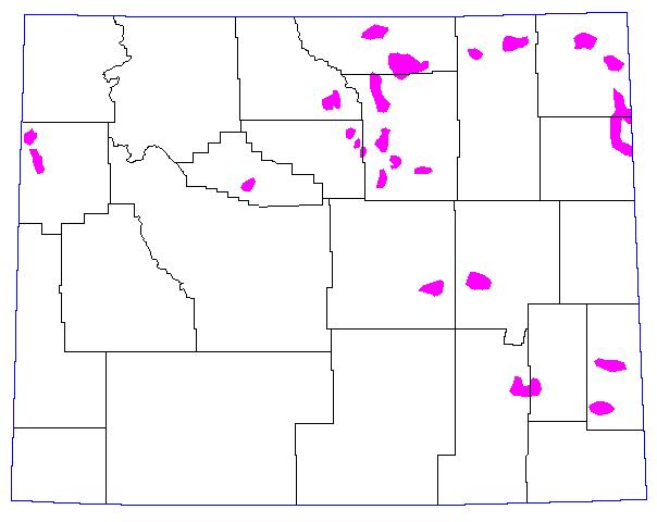 1973, Magenta = >= 8 Grasshoppers per square yard. 