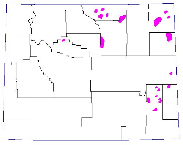1977, Magenta = >= 8 Grasshoppers per square yard. 
