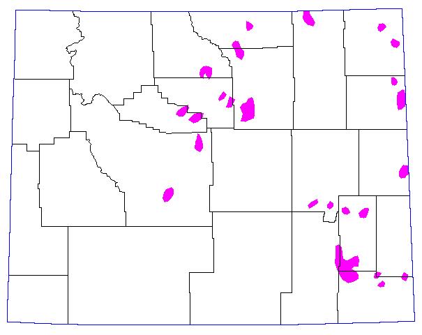 1981, Magenta = >= 8 Grasshoppers per square yard. 