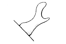 Cerci.