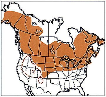 mbormap.jpg