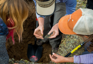 a group analyzing a rock