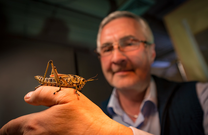 professor with a grasshopper on his finger