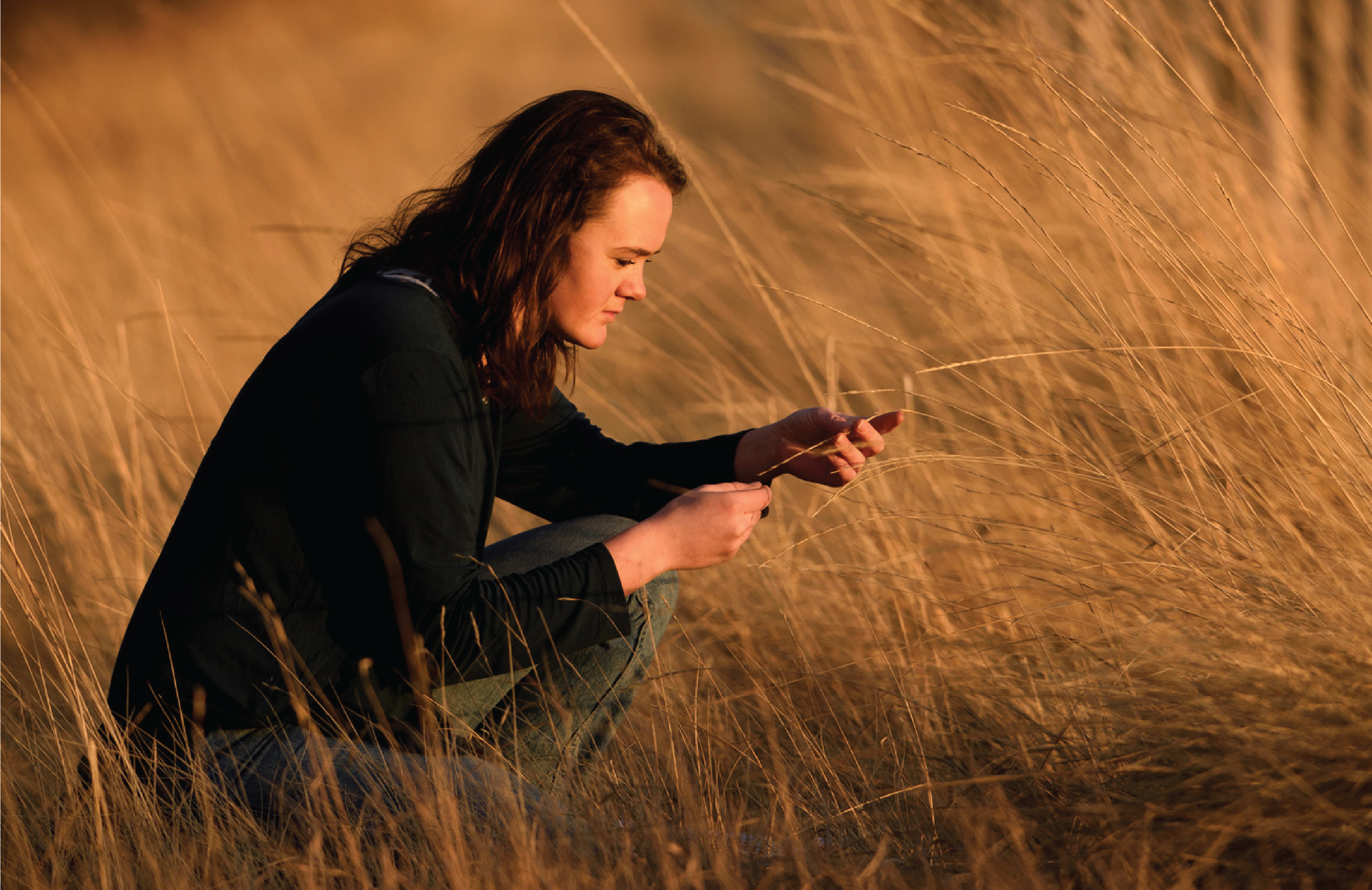 women touching wheat
